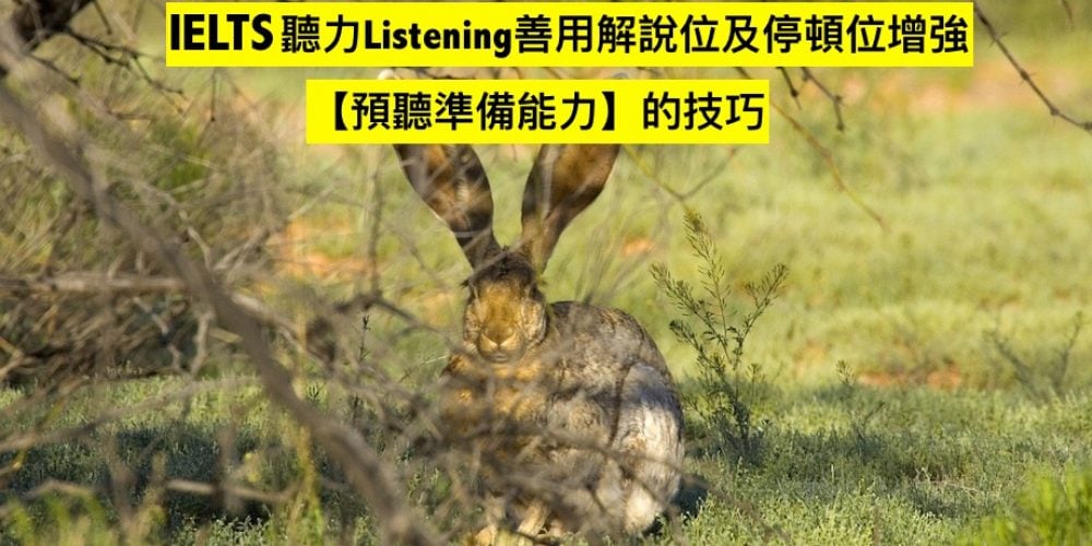 IELTS聽力Listening善用解說位及停頓位增強【預聽準備能力】的技巧